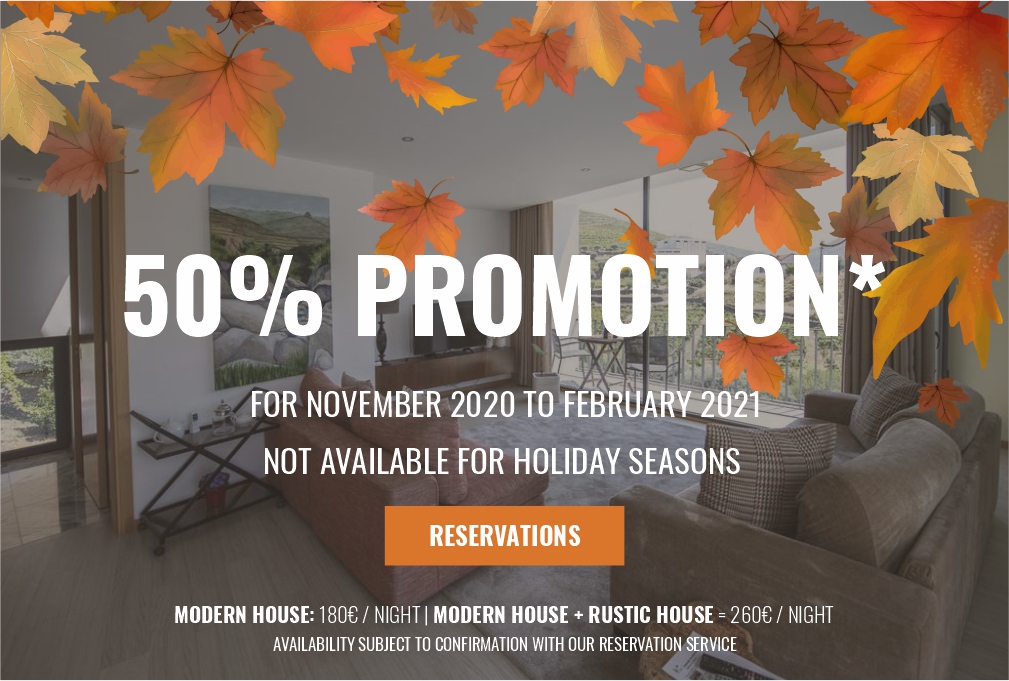 50% Promotion from November 2020 to February 2021