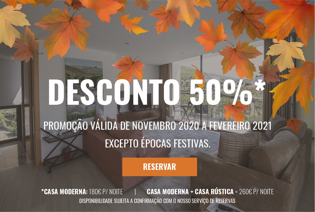 Promoção 50% de novembro 2020 até fevereiro 2021